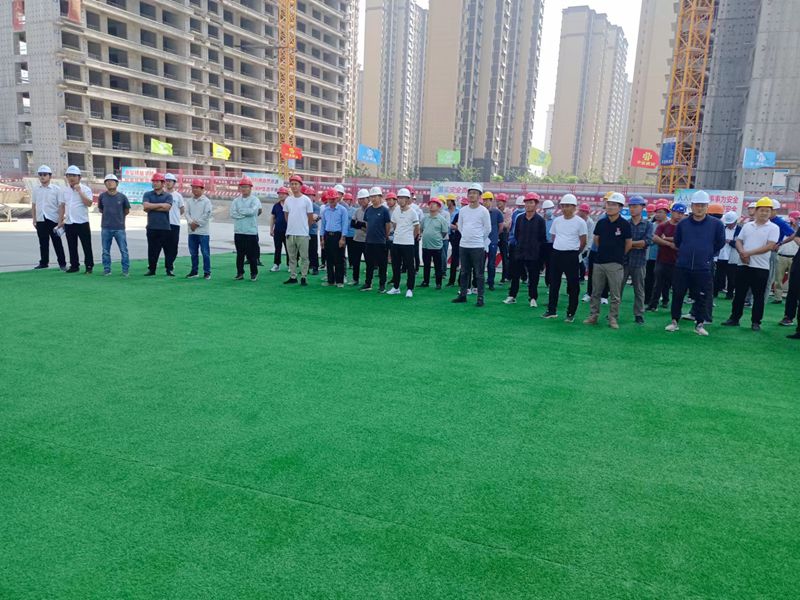 1686215143108346.jpg 2.jpg