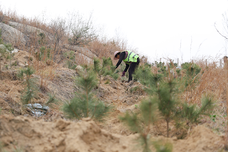 1712464743128621.jpg IMG_4777 拷貝.jpg